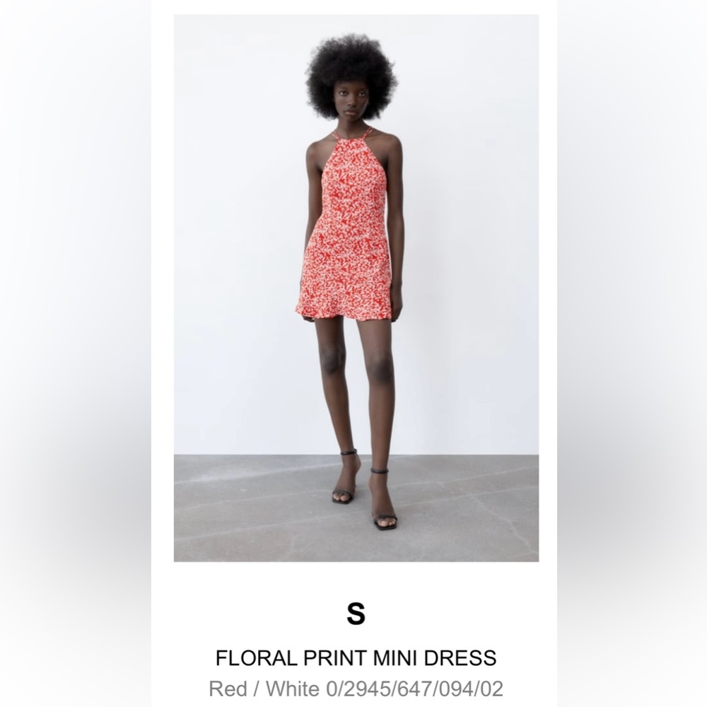Zara Red Floral Dress